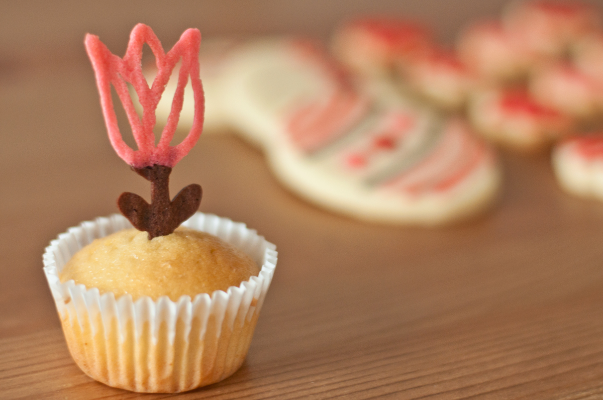 Decorating Using Piped Cookie Dough with Miss Cuit {Guest Post} The