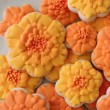Marigold Cookies Marigold Cookies