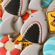 Shark Week Cookies