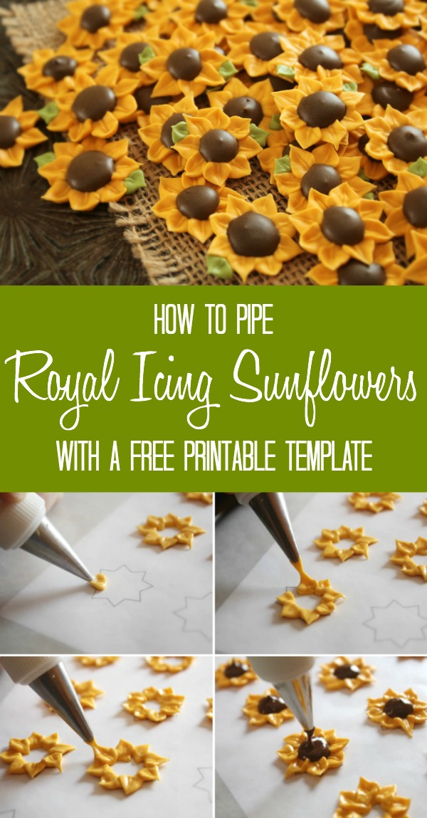 Learn to pipe royal icing sunflowers using a free printable template via Sweetsugarbelle.com
