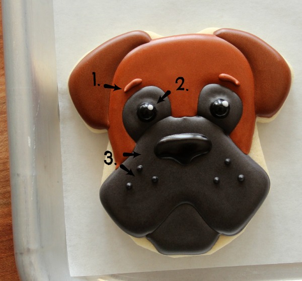 Decorated Boxer Cookie