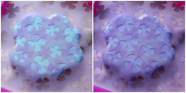 Stenciled Hydrangea Flower Cookies